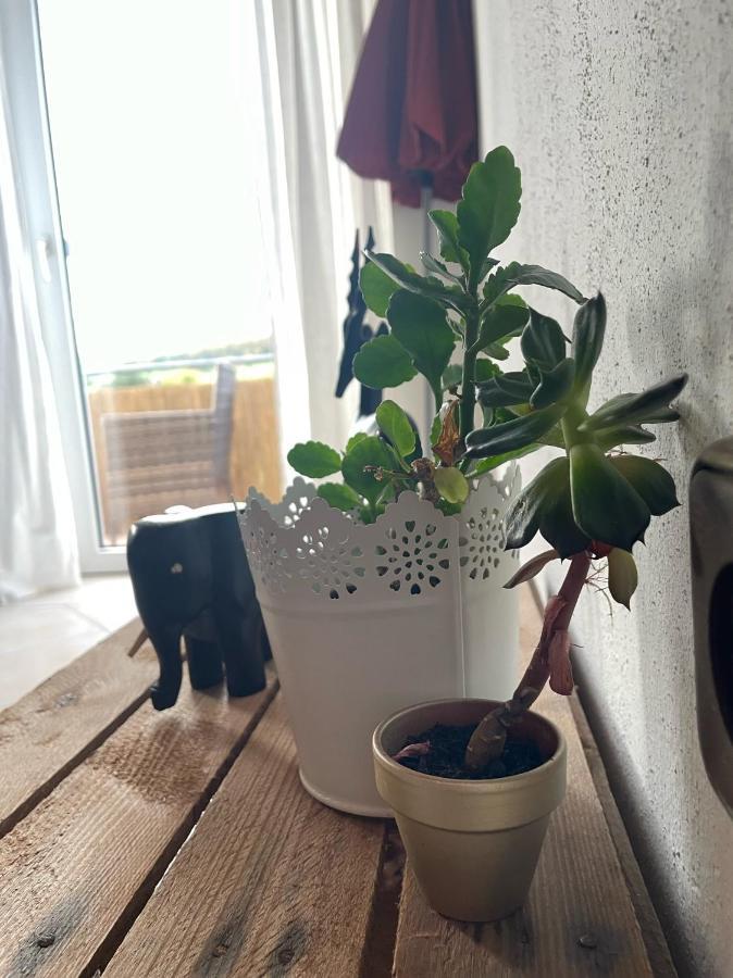 Schoene Wohnung In Ruhiger Laendlicher Lage Heidenheim  Eksteriør bilde